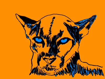 Mountain Lion #11
