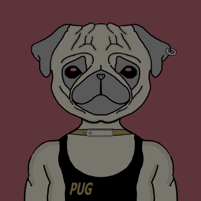 AlgoPug#4