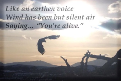 Haiku#4: Earthen Voices