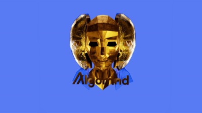 Algomind #2