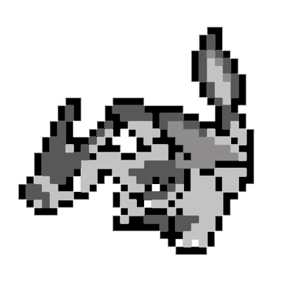 AlgoDrago #003