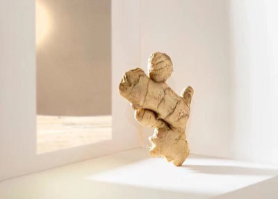 Food series - Ginger