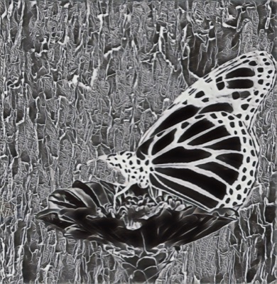 Monarch #003