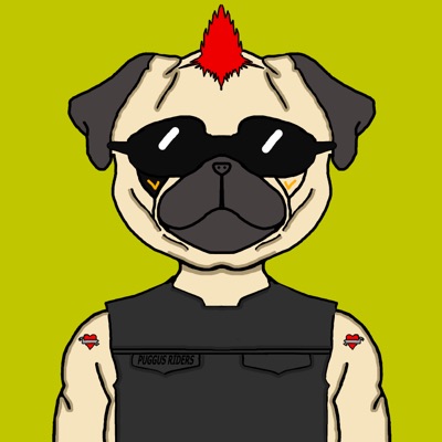 AlgoPug#8