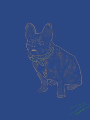 Mac the Frenchie #002