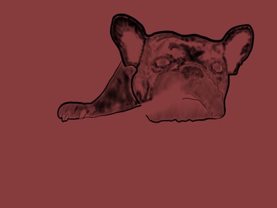 Mac the Frenchie #007