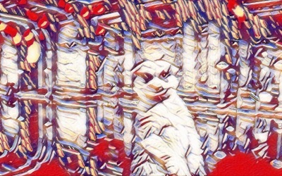 Hidden Meerkat #5