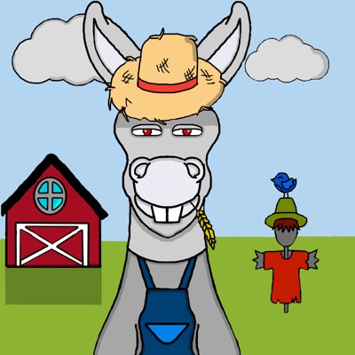 AlgoDonkey#06