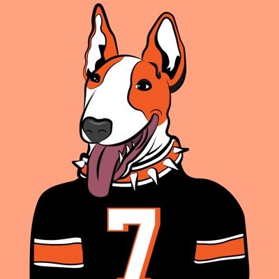 Home Dawg #7