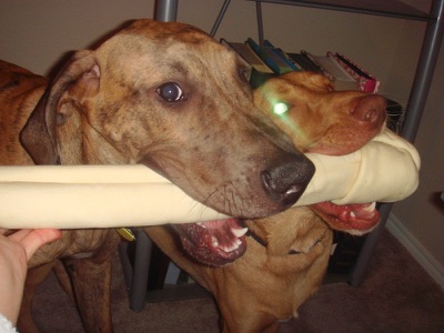 Brady&Baxter
