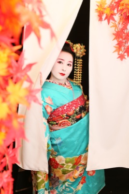 MAIKO 3 11