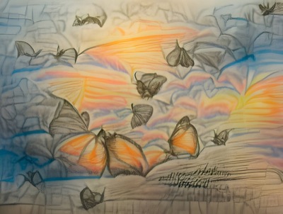 Butter-Fly Into The Sunset