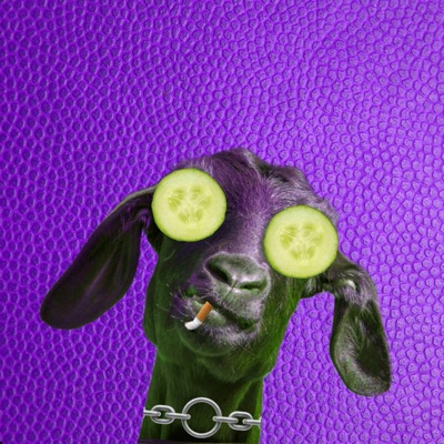 ALGOATRAND # 5