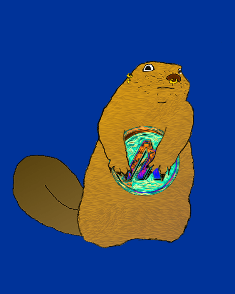 AlgoBeaver #374