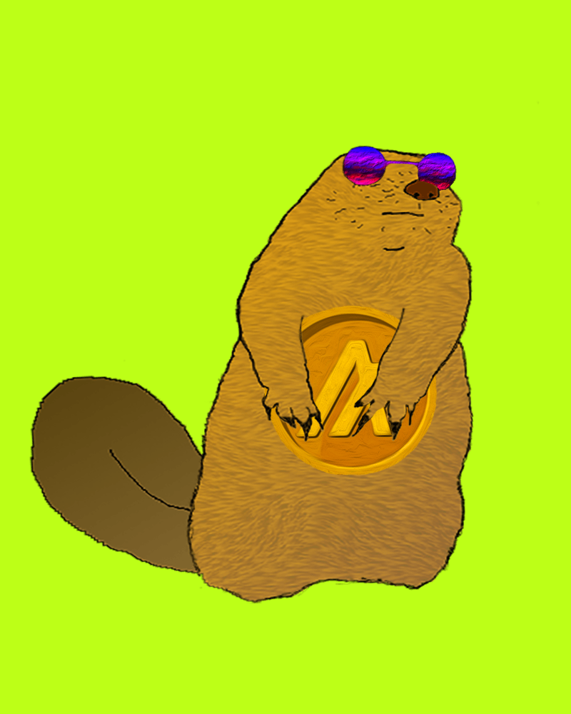 AlgoBeaver #393