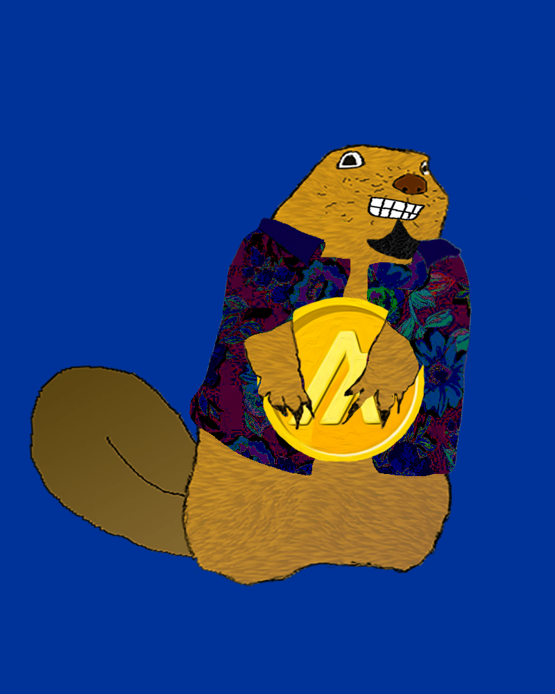 AlgoBeaver #572