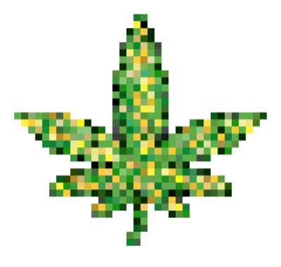AlgoPot #3