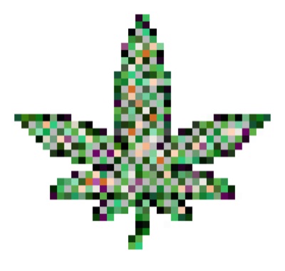 AlgoPot #4