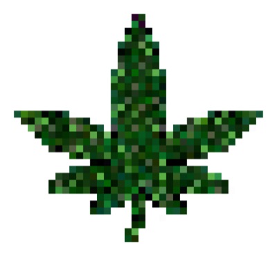 AlgoPot #6