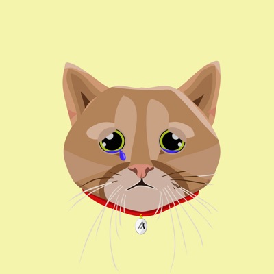 AlGato 002