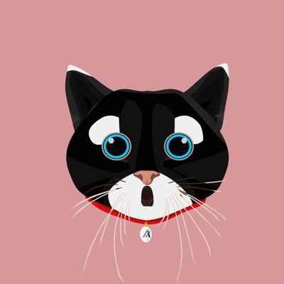AlGato 008