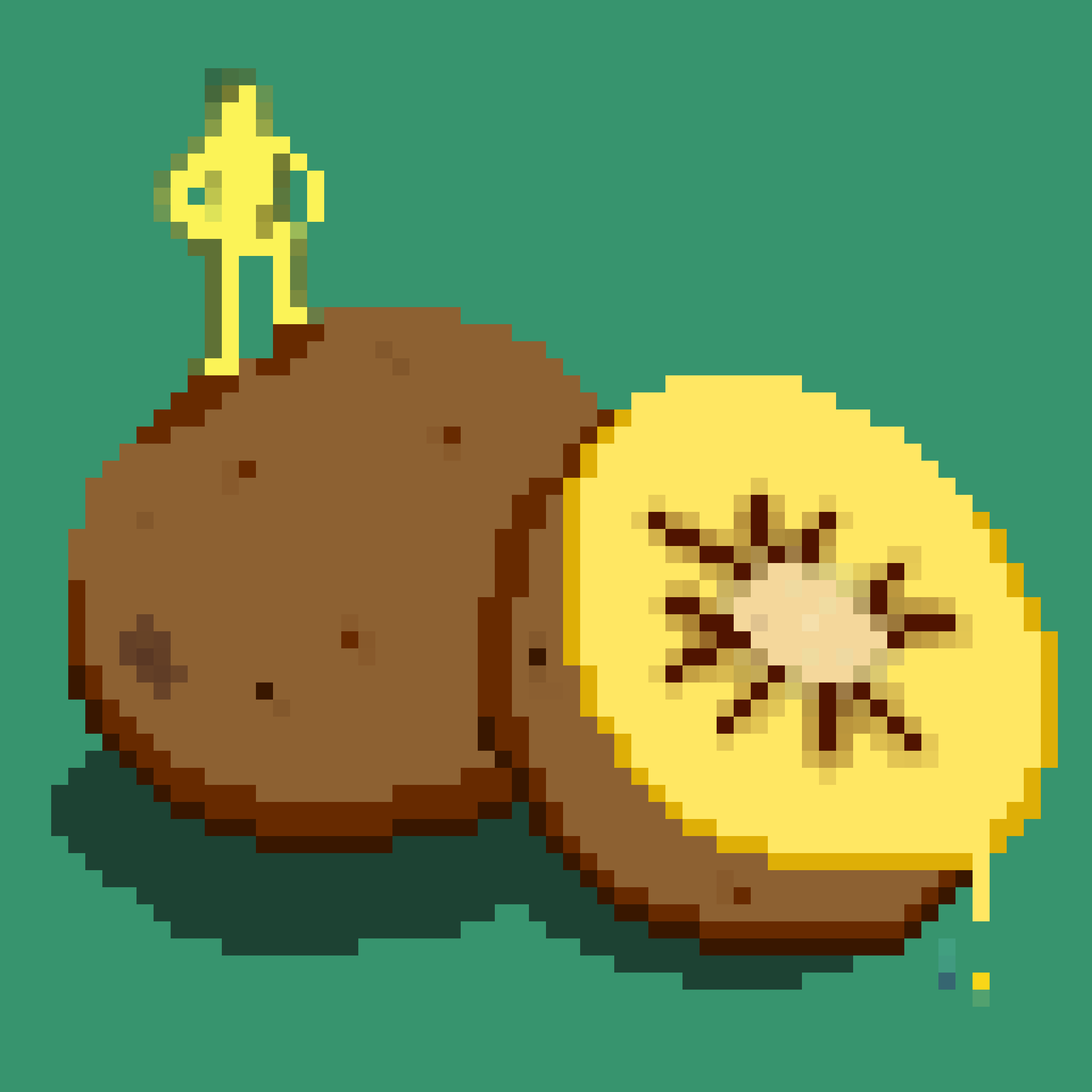 Kiwi #6