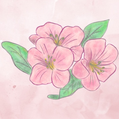 Bloom #2