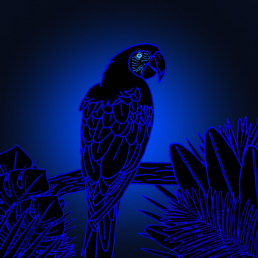Algo_Parrot_021