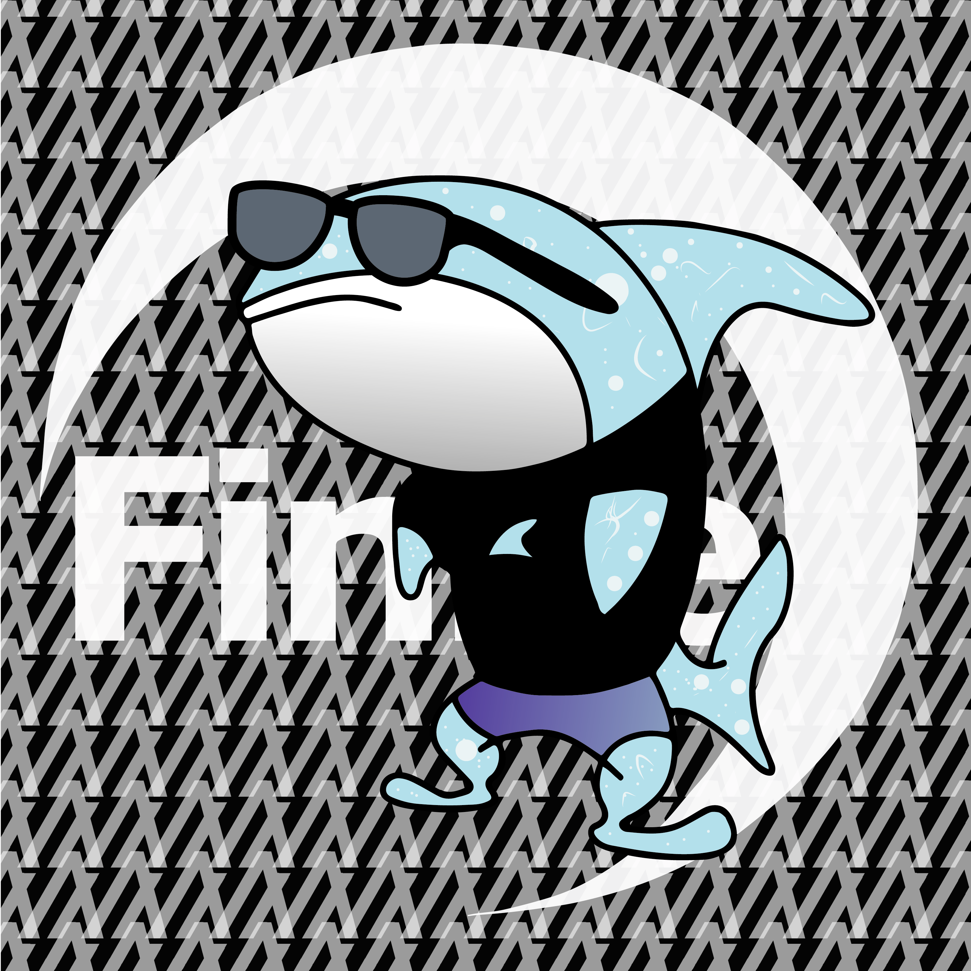 FiniteFin007