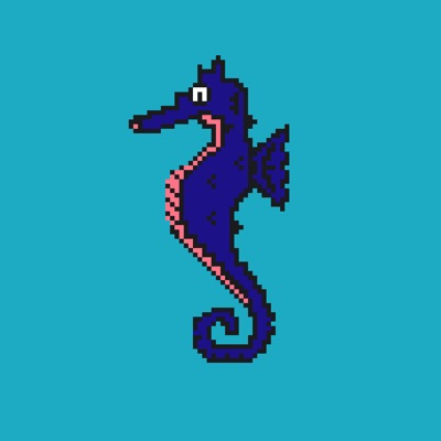 Algo Seahorse #3
