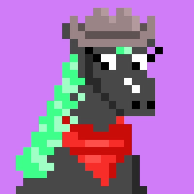 tinyhorse 2