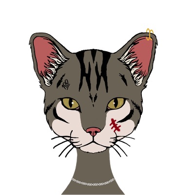 Cat #2