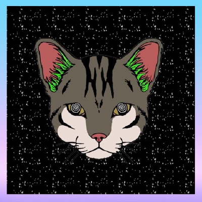 Cat #4 