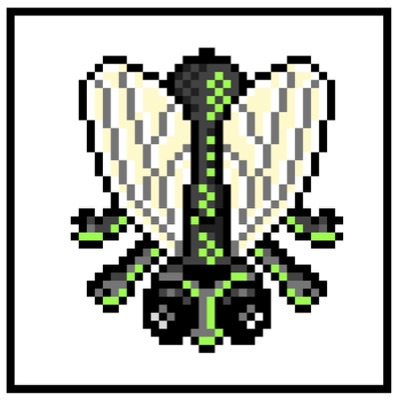 ALGOFLY 04