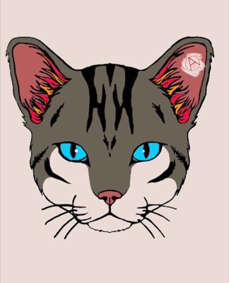 Cat #5 