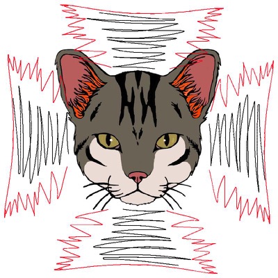 Cat #6