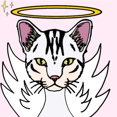 Cat #7
