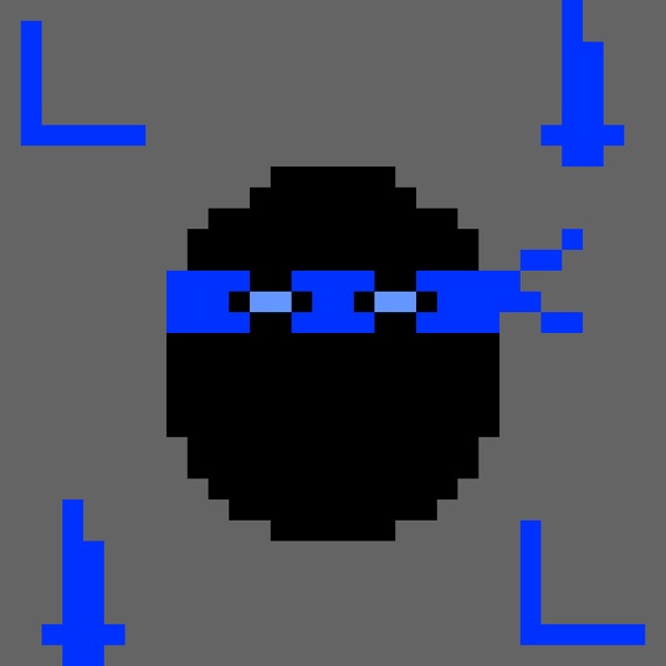 BLEWYZ NINJA LNRD #0011