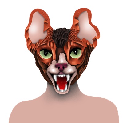 Wrinkly Cat The Beginning
