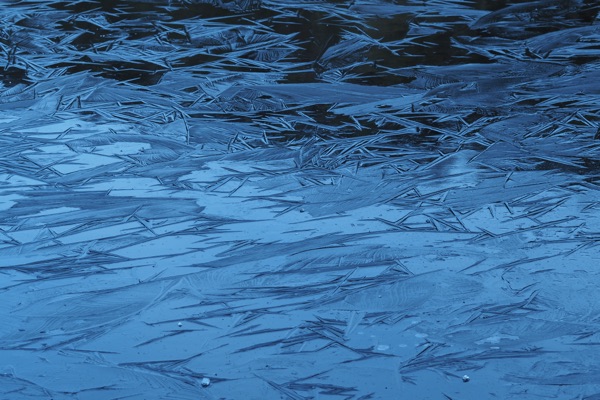 Ice World (Cradle #4)