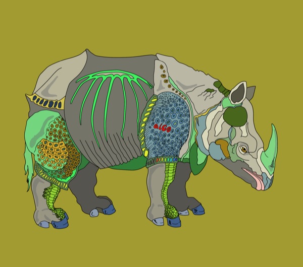 RHINALGO #1