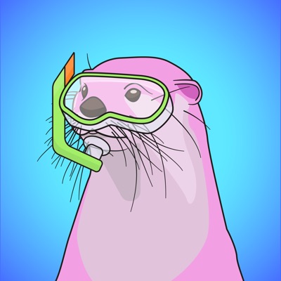 AlgOtter #6