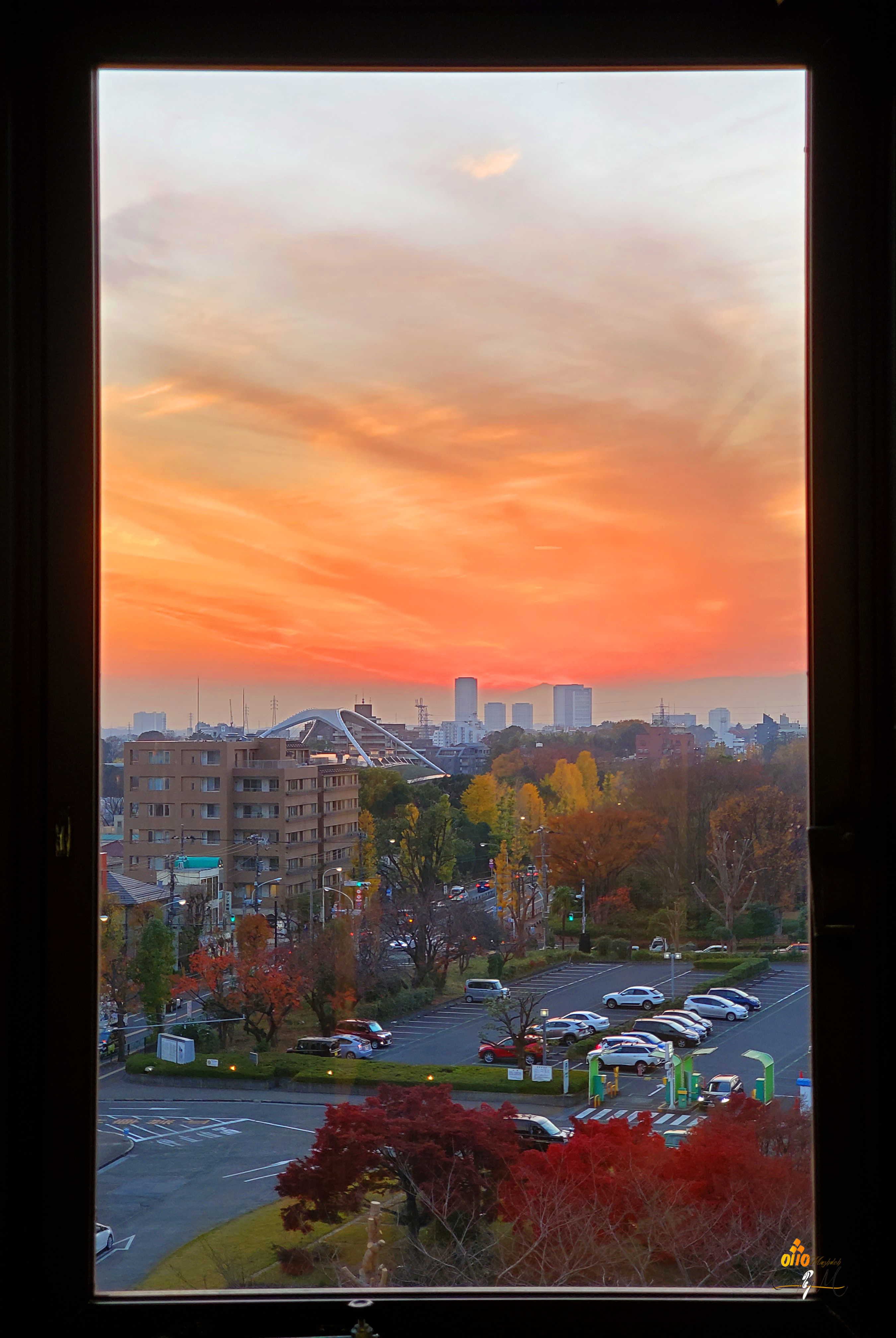 Fuji & Autumn | Tokyo | Japan