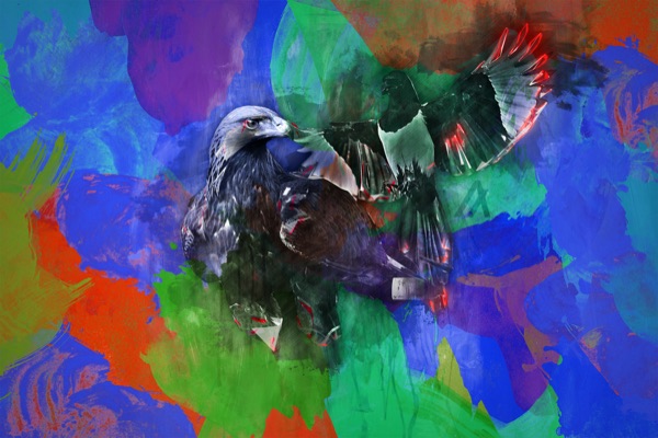Paint Eagle Colorful 
