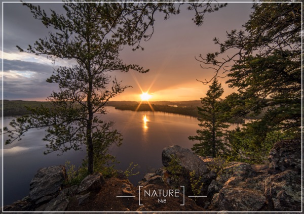 NȺTURE #8: The Golden Overlook