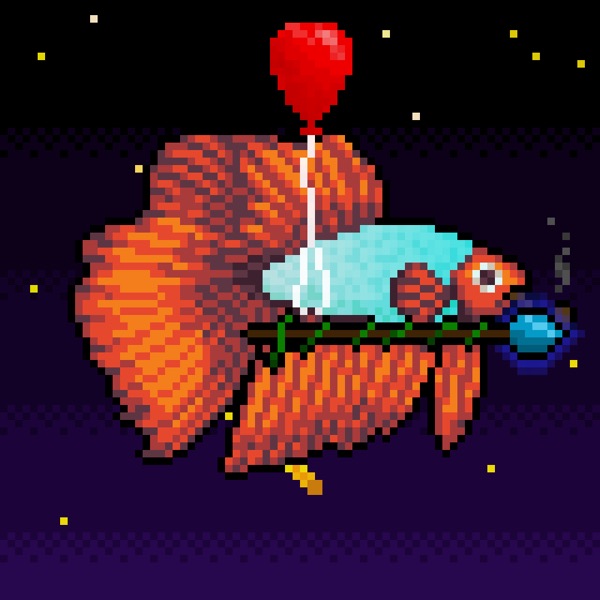 Fighting Fish #505