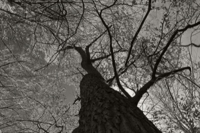 Look Up [2]