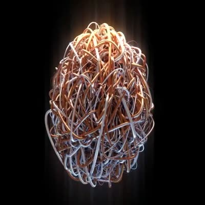 FOEggs #0024
