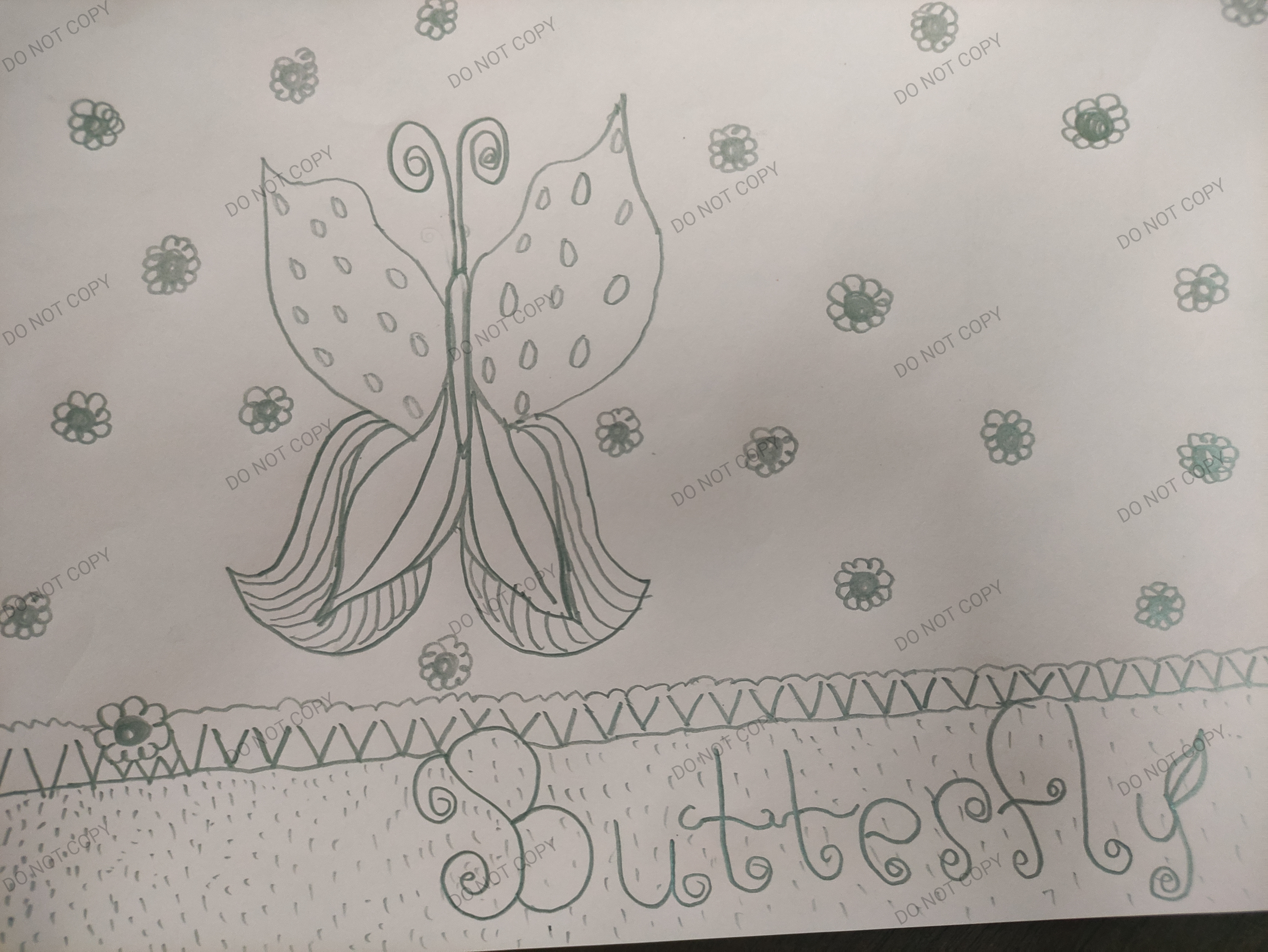 BUTTERFLY