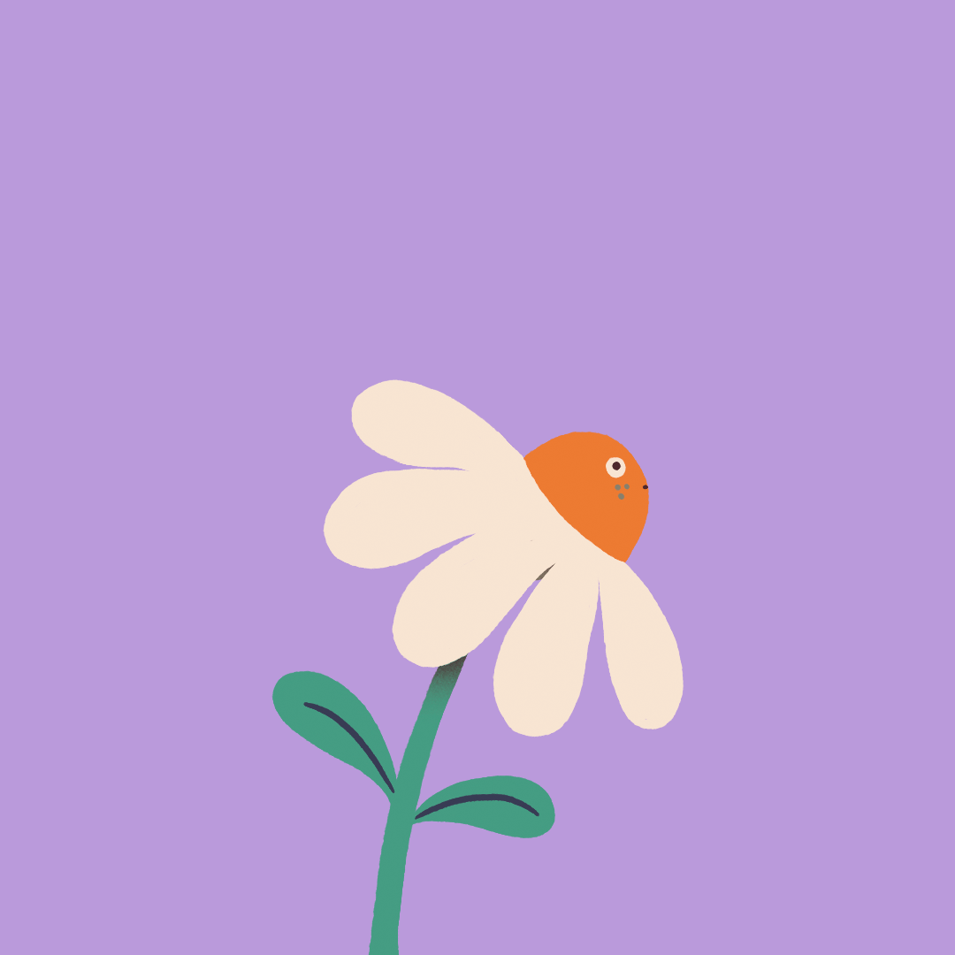 Daisy